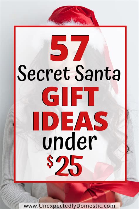 best secret santa gifts under $25|unisex gifts for adults under $25.